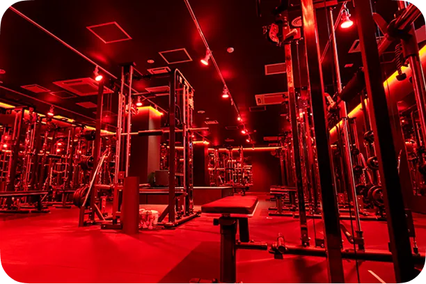 One Machine Per Person for Efficient Full-Body Training